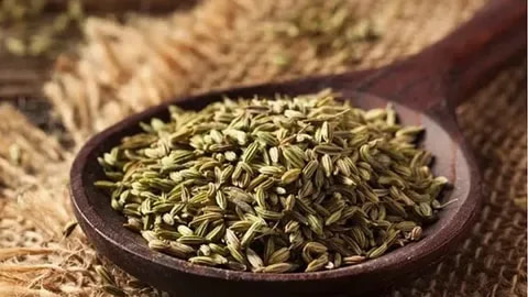 تصویر 2 از ادویه زیره سبز اصلی با طعم اصیل و رایحه طبیعی